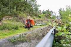 Trefelling Kristiansand