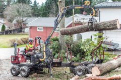 Trefelling Kristiansand