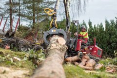 Trefelling Kristiansand